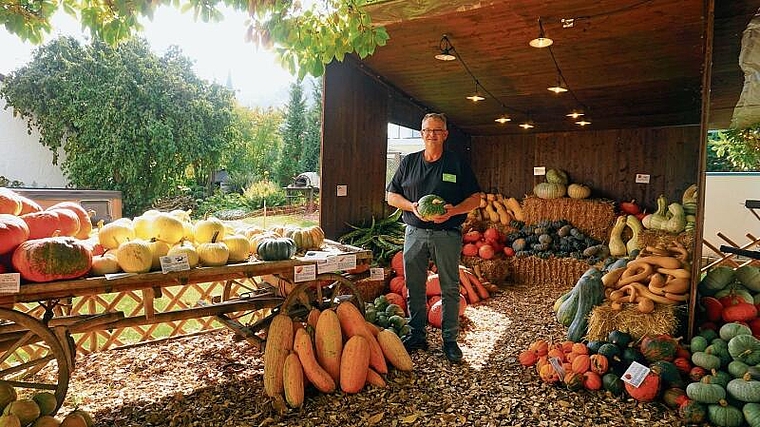 Reto Lienberger vor seinen Kürbissen: Bis zu 150 Tonnen erntet er pro Jahr. Rinaldo Feusi