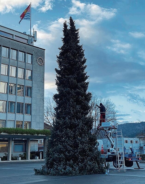 Mit Hilfe einer Hebebühne wurde die Weihnachtsbeleuchtung am zehn Meter hohen Baum angebracht. Melanie Bär