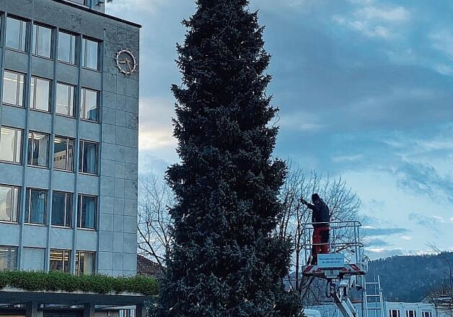 Mit Hilfe einer Hebebühne wurde die Weihnachtsbeleuchtung am zehn Meter hohen Baum angebracht. Melanie Bär