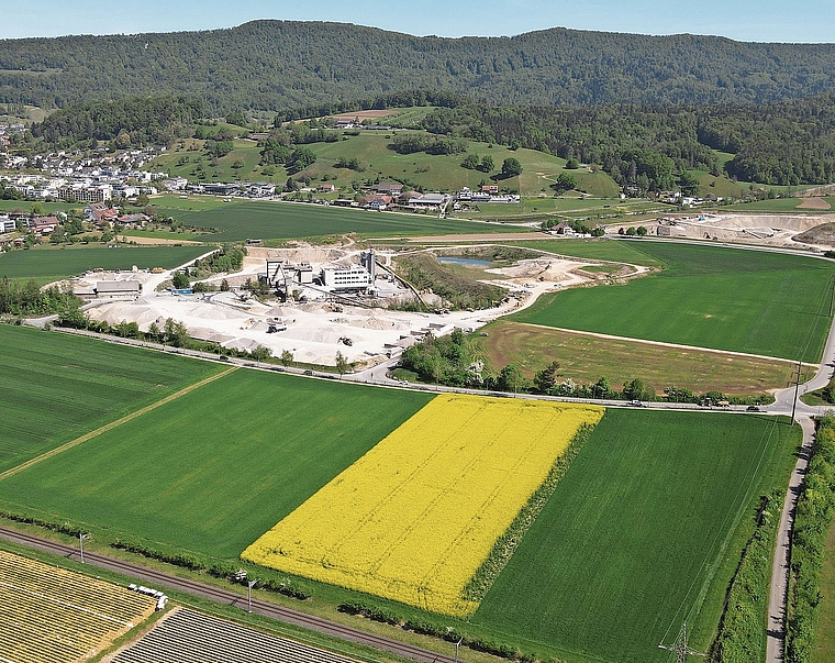 Tägerhardächer: Auf diesem Gebiet wäre der Campus geplant. zVg