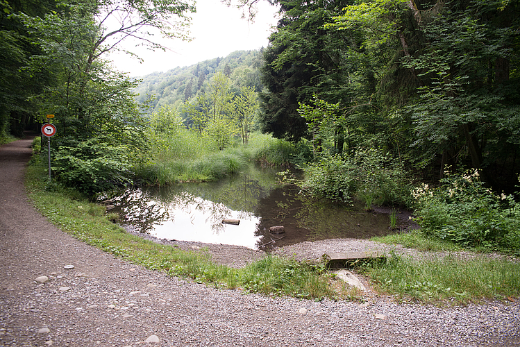 Am Egelsee,
