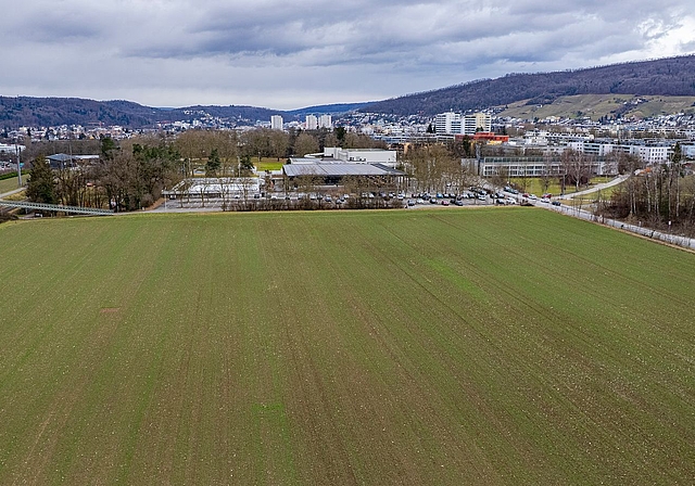 Die Wiese im Tägerhard. Wird sie zum Standort von Hitachi Energy? Elizabeth Desintaputri