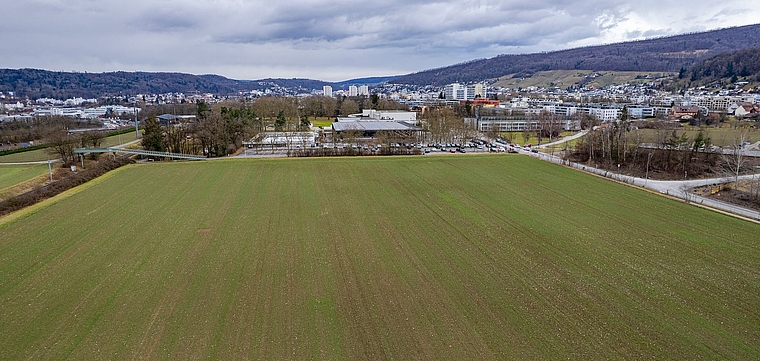 Die Wiese im Tägerhard. Wird sie zum Standort von Hitachi Energy? Elizabeth Desintaputri