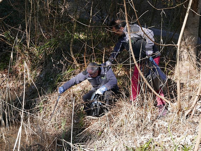 Fleissig wird Müll im Wald zusammen gesammelt.
