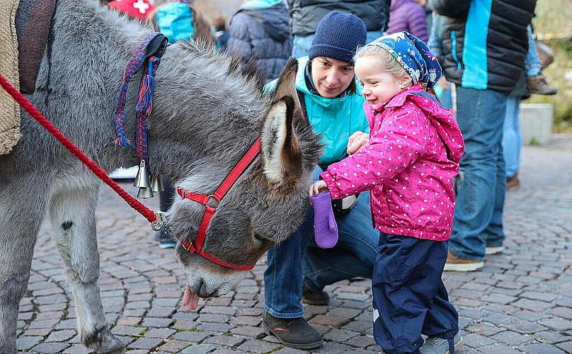 Die zweijährige Milena hat sichtlich Freude am Eseli.