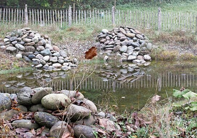 Der Weiher auf dem Areal des Kinderheims Klösterli dient Amphibien wie der Gelbbauchunke als Laichgewässer.Sibylle Egloff

