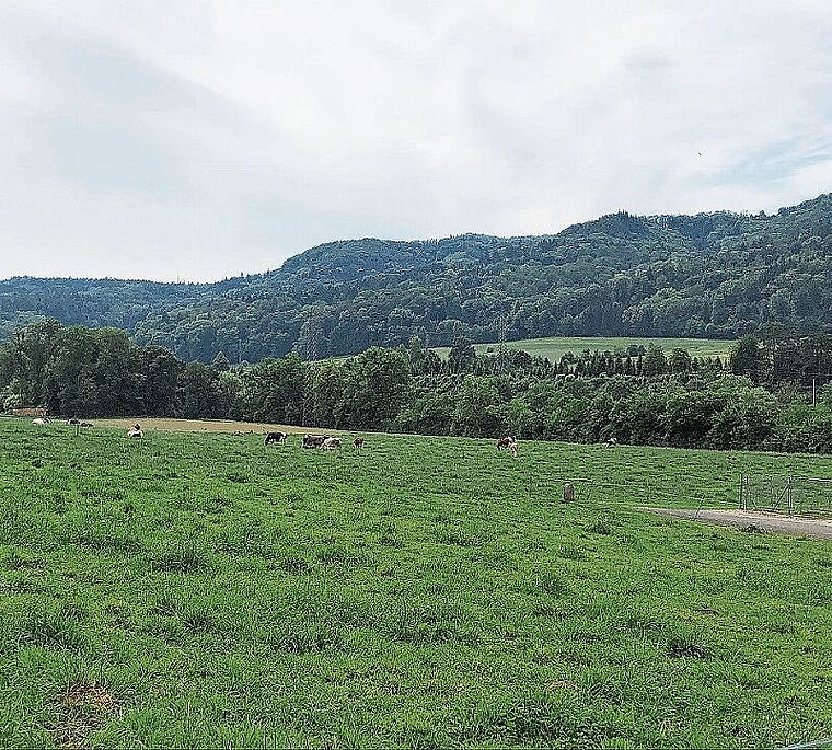 Der grüne Korridor ist Idylle pur.  (Bild: zVg)