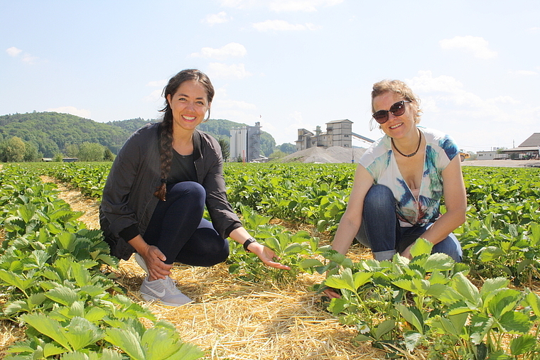 Flugbegleiterin Rachel Bösch und Produktentwicklerin Constanze Schneider (v.l.) ackerten auf dem Erdbeerfeld. Sibylle Egloff