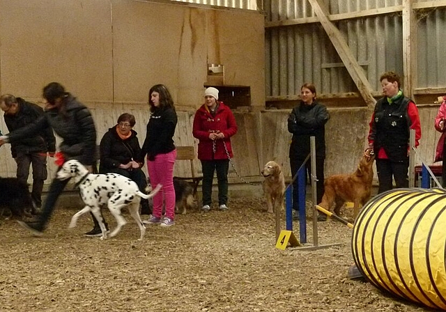 Agility – eine Sportart für Mensch und Tier. Foto: pk