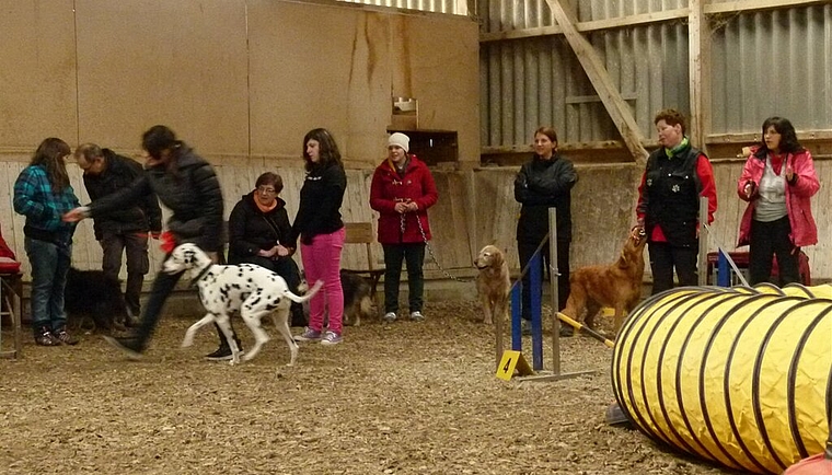 Agility – eine Sportart für Mensch und Tier. Foto: pk