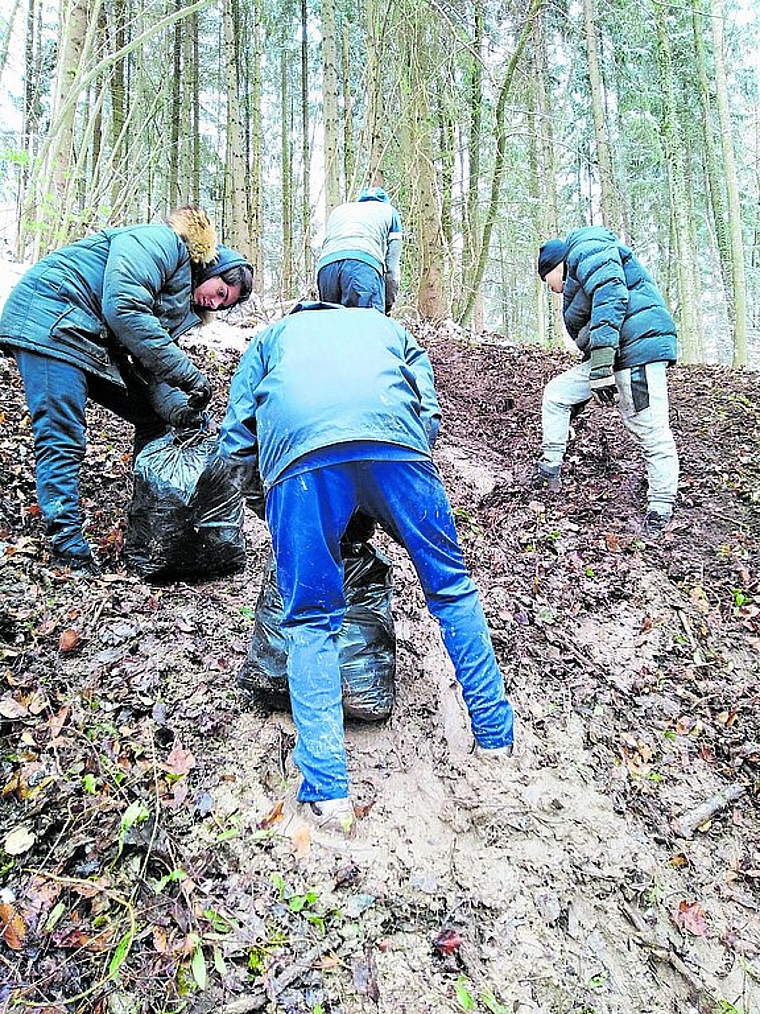 Schüler bei ihrem Einsatz im Wald. (Bild: zVg)
