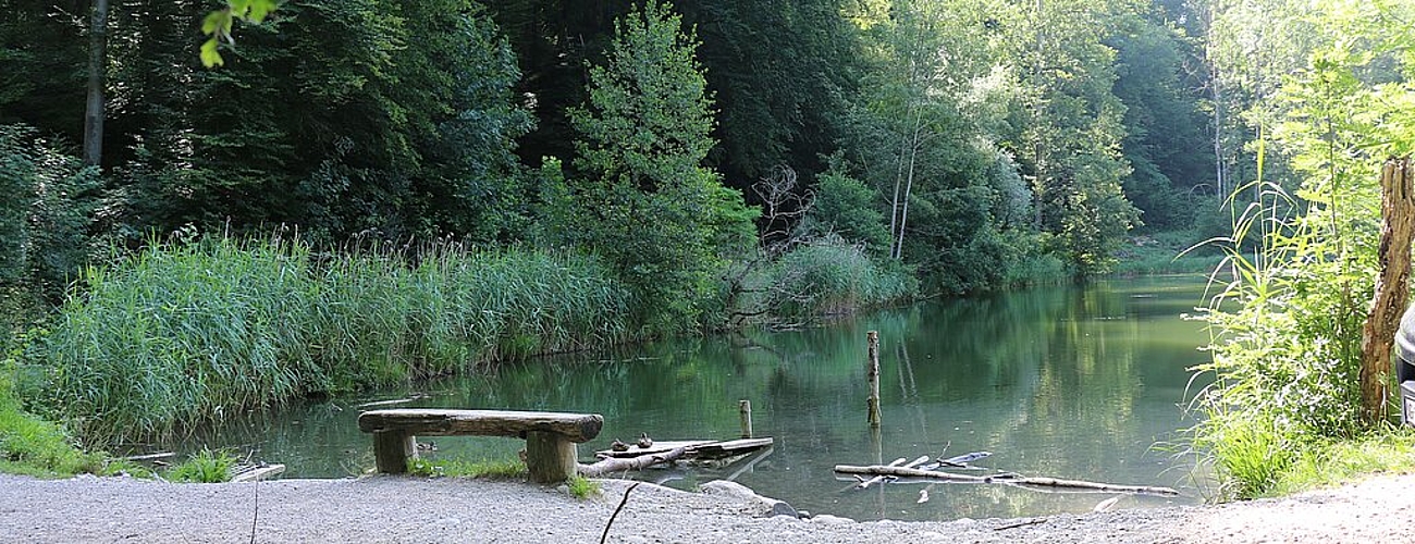 Franzosenweiher zwischen Spreitenbach und Dietikon. Melanie Bär