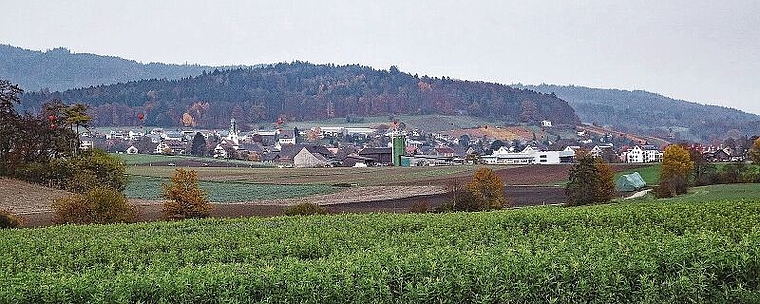 Sicht vom Würenloser Gebiet Steindler  Richtung Otelfingen, wo Deponiegegner mit roten Ballonen die Dimensionen der geplanten Deponie aufzeigten. zVg