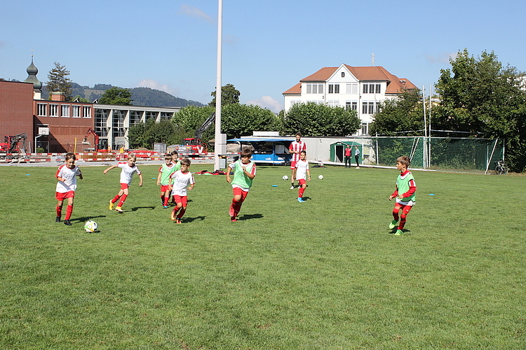 Total nahmen 77 Kinder im vom Sportverein Würenlos organisierten fünftägigen Fussballcamp teil. Rahel Bühler

