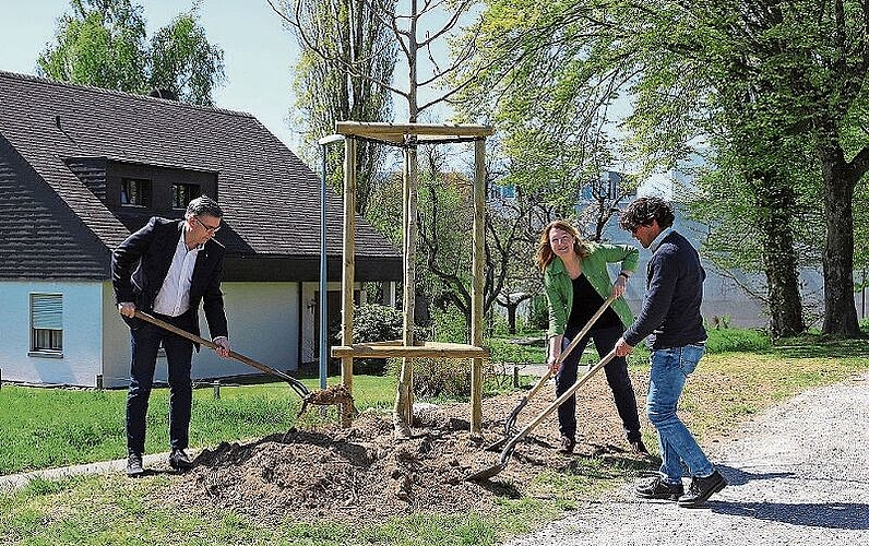 Setzen den Baum: (v.l.) Markus Schneider, Kirsten Ernst und Thomas Baumann. (Bild: Gaby Kost)