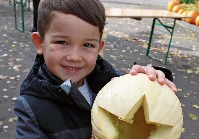 Amar hat sich einen weissen Kürbis ausgesucht. bär