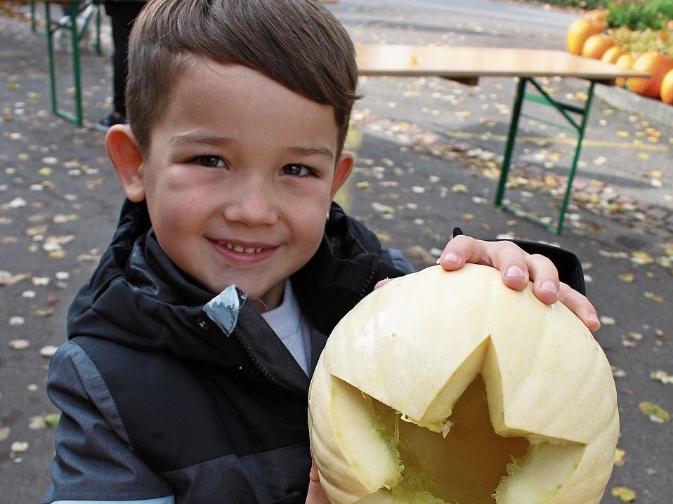 Amar hat sich einen weissen Kürbis ausgesucht. bär Amar hat sich einen weissen Kürbis ausgesucht. bär