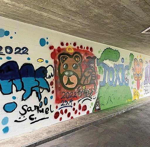 Graffito in der Unterführung: Zehn Jugendliche haben die Wand besprayt.zVg