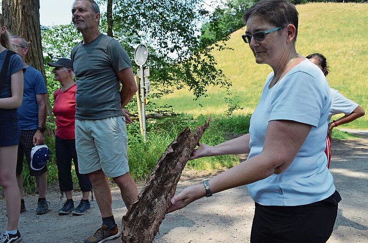 Diese Teilnehmerin zeigt die Rinde mit den Frassspuren des Borkenkäfers. ihk