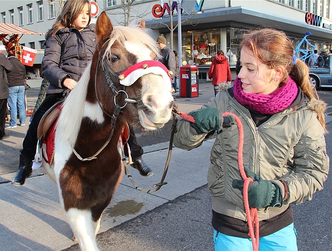 Ponyreiten für die Kleinen war begehrt. Fotos: cfr

