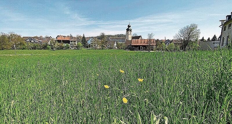 Das Alterszentrum soll auf dem nordwestlichen Teil der Zentrumswiese (vorne im Bild) gebaut werden, so der Wille der Standortkritiker. (Bild: Melanie Bär)