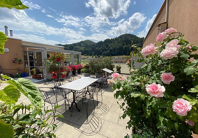 Terrasse mit blühender Blumenpracht an der Zürcherstrasse in Neuenhof. Melanie Bär