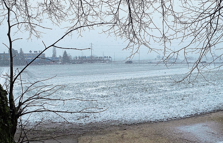Bifig-Flüefeld: Auf dieser Wiese soll Kies abgebaut werden.Melanie Bär