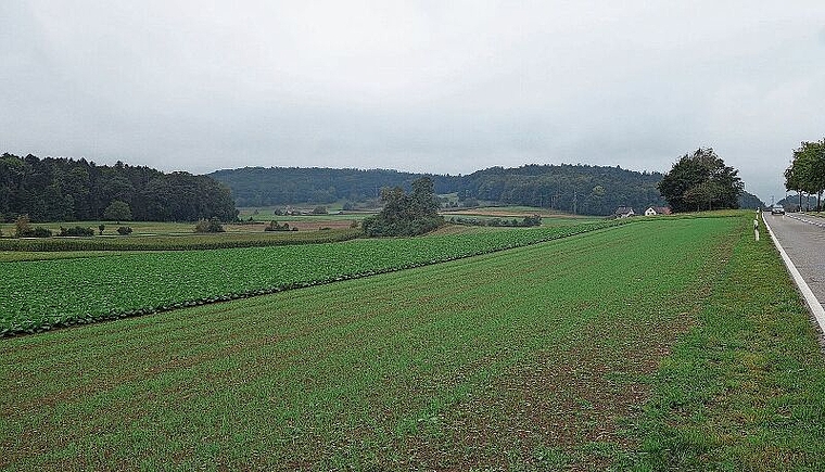 Die Deponie für sauberen Aushub soll im Würenloser Gebiet Steindler zustande kommen. Es liegt nordöstlich des Dorfkerns. Die Erschliessung würde via Furttalstrasse funktionieren.  Dieter Minder/ Archiv