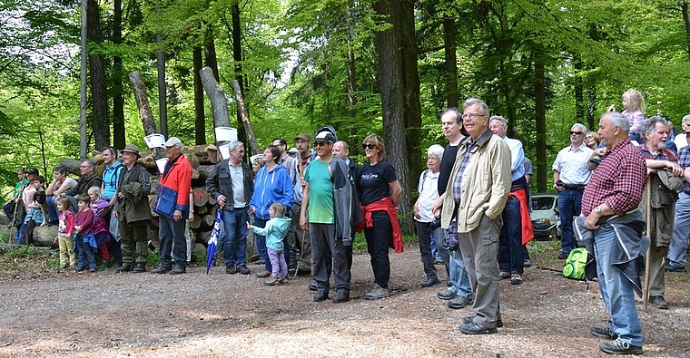 Am Waldumgang in Killwangen erfuhr man viel Interessantes. Foto: zVg