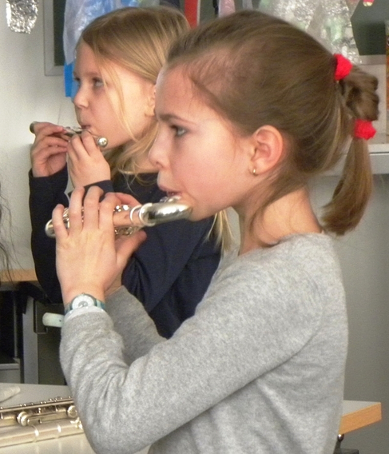Instrumenteausprobieren am 12. März in der Schule Altenburg.Foto: zVg