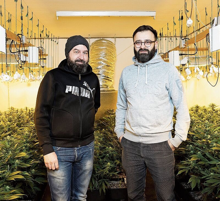 Die beiden CBD-Produzenten Patrik Turner aus Wettingen (links) und Momcilo Obradovic aus Baden. (Bild: Severin Bigler)