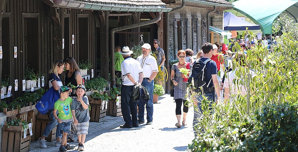 Die Klostergärtnerei <em>zog kleine und grosse Besucher an.</em>
