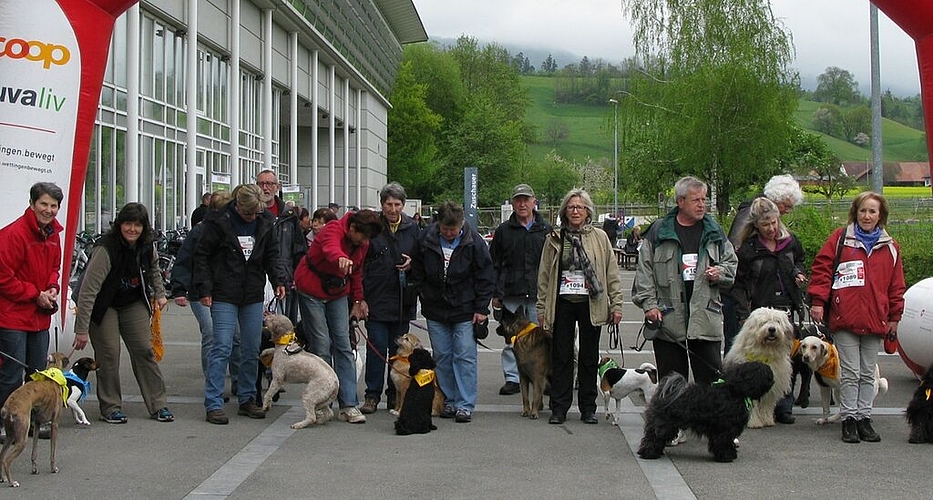 Gemeinsamer Start der Hundegruppe. Foto: sf Gemeinsamer Start der Hundegruppe. Foto: sf