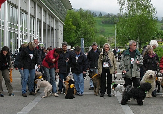 Gemeinsamer Start der Hundegruppe. Foto: sf