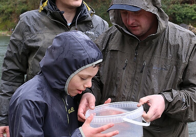 Michael Hauser (r.) zeigt einem Jungfischer die Brütlinge.Fotos: bär

