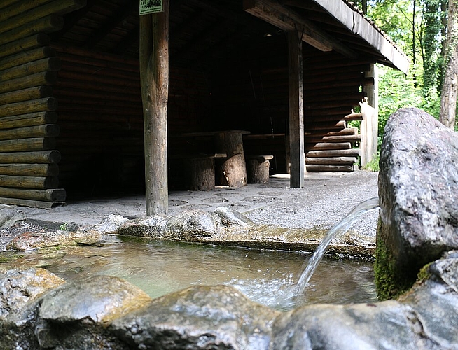 Brunnen beim «Unterstand» im Spreitenbacher Wald. Melanie Bär
