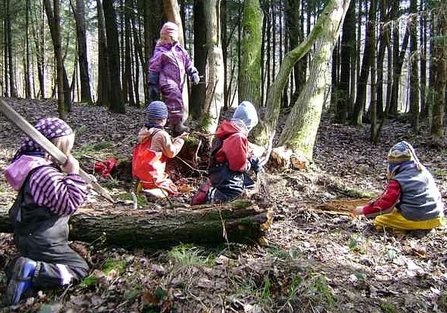 Die Gemeinde arbeitet eine Vorlage für einen Wald- und Bewegungs-Kindergarten in Wettingen aus. Foto: Archiv
