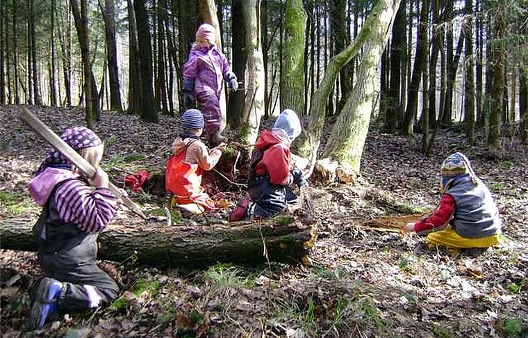 Die Gemeinde arbeitet eine Vorlage für einen Wald- und Bewegungs-Kindergarten in Wettingen aus. Foto: Archiv
