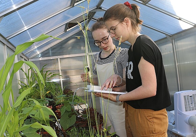 Luisa Zumsteg und Antonia Würsch (v. l.) messen im Treibhaus die Transpiration.Melanie Bär