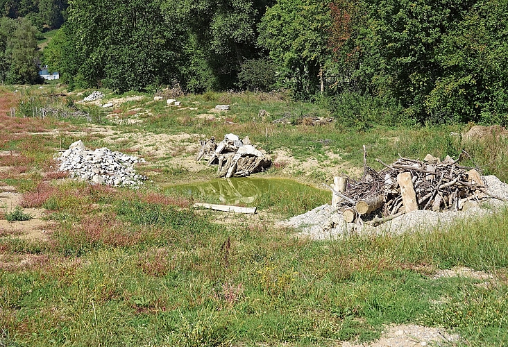 Totholz als Unterschlupf für Insekten. Totholz als Unterschlupf für Insekten.