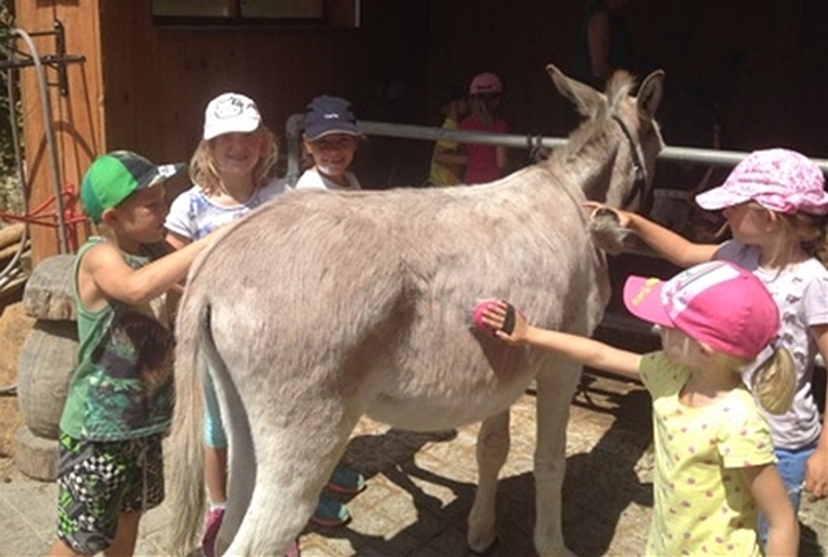 Tatkräftige Mithilfe der Kinder beim Eselstriegeln. Foto: zVg 