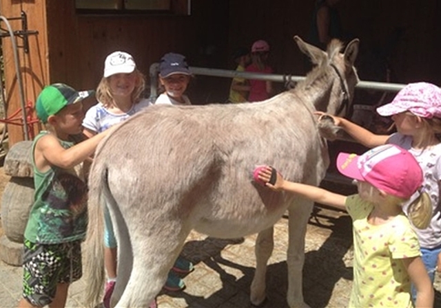 Tatkräftige Mithilfe der Kinder beim Eselstriegeln. Foto: zVg 