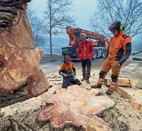 Lorenz Usteri (l.) zählt die Baumringe.bär
