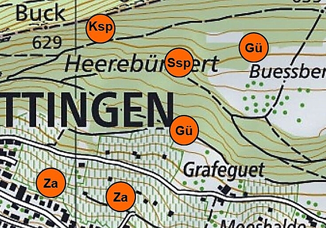 Die orangen Punkte auf der Brutvogelkarte 2018 stehen für eine sichere oder mögliche Brut der Art. «Gü» steht für Grünspecht, «Ksp» bedeutet Kleinspecht, «Ssp» sind Schwarzspechte, «Tf» steht für Turmfalke, «Za» bedeutet Zaunammer. zV