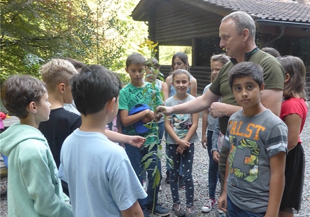 Förster Markus Biland zeigt den Viertklässlern die Neophyten. Fotos: bär