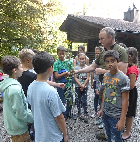 Förster Markus Biland zeigt den Viertklässlern die Neophyten. Fotos: bär