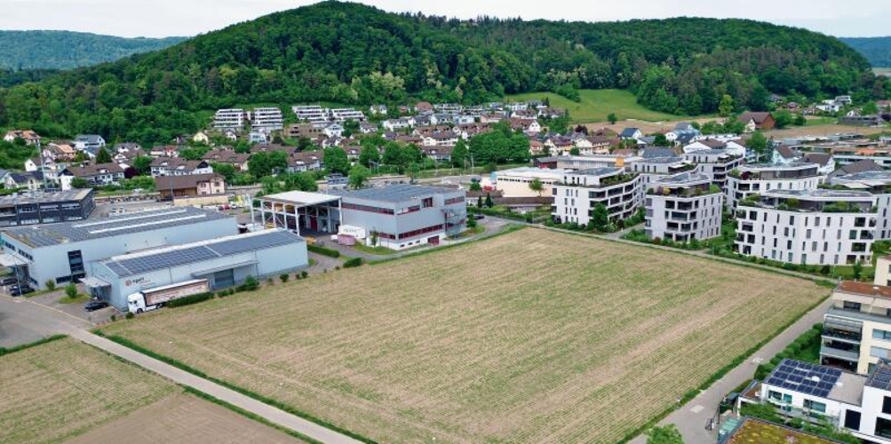 «Im Grund» grenzt an die Grund- und die Hürdistrasse und liegt hinter dem Steinhof-Quartier.Ian Stewart