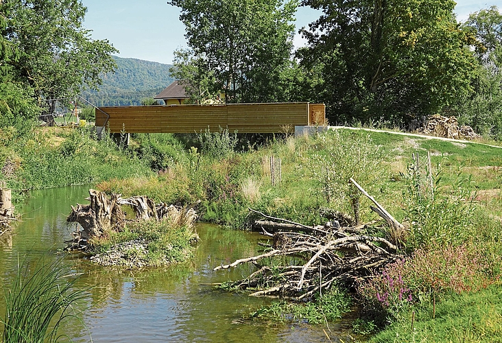 Die Holzbrücke nach Würenlos. Die Holzbrücke nach Würenlos.