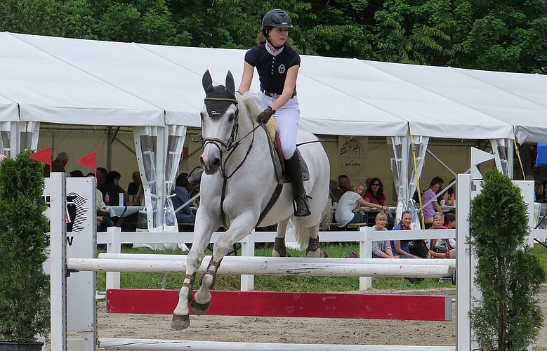 Eine grosse Zuschauerschar verfolgte das Springreiten von den Festbänken aus. Fürs Ponyreiten standen unzählige Kinder Schlange. 