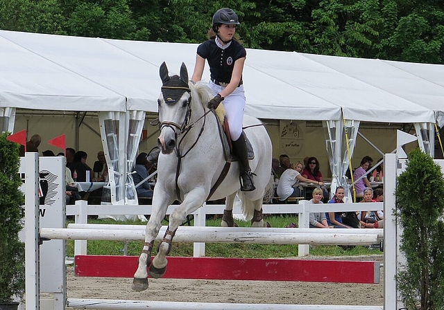 Eine grosse Zuschauerschar verfolgte das Springreiten von den Festbänken aus. Fürs Ponyreiten standen unzählige Kinder Schlange. 